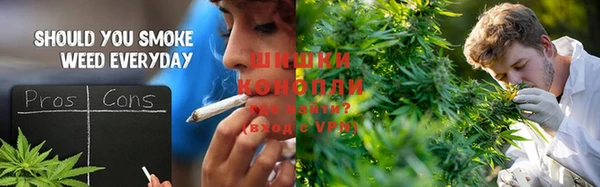 МДПВ Липки