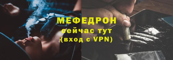 МДПВ Липки
