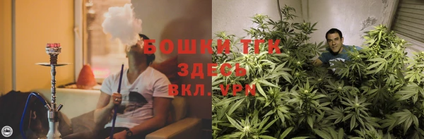 МДПВ Липки