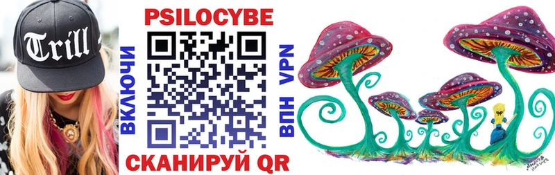 MEGA ССЫЛКА  Малгобек  Галлюциногенные грибы Psilocybe  где можно купить  